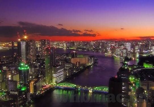 糖心vlog官网福利-糖心vlog官网，解锁专属福利的在线乐园